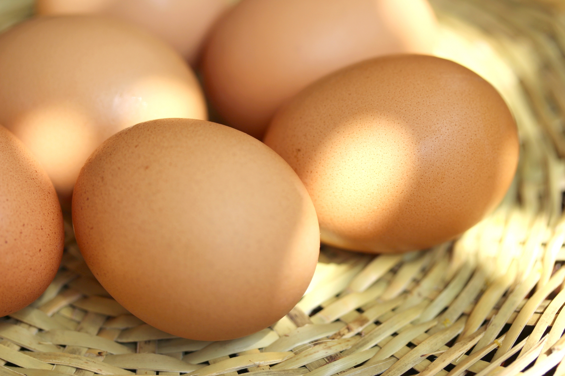 【特別な卵】VEGGI de PANで使っている卵の事知ってください。